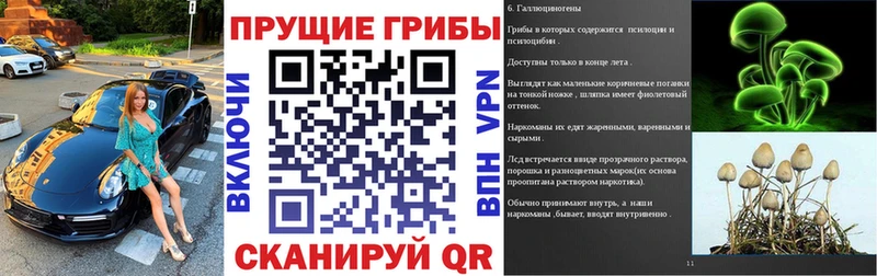 Купить закладки  Каменск-Уральский  Галлюциногенные грибы мицелий 
